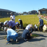 全体の様子