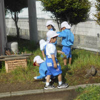 草引き（１年）
