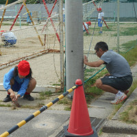 草引き