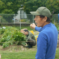 説明アップ