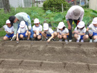 種植え① - コピー