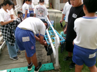 洗濯干し②