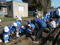 全体