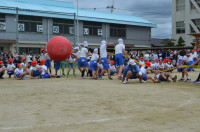 大玉運び