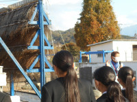 かん水作りの見学