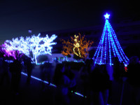 イルミネーション①