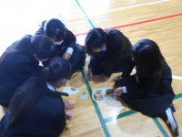 おやつ塩分含有率のクイズ