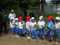 植える場所整列
